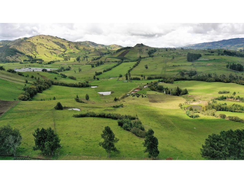 Finca 55 Fanegadas en Chocontá | Con 200 Reses y Puerta Cerrada - 2