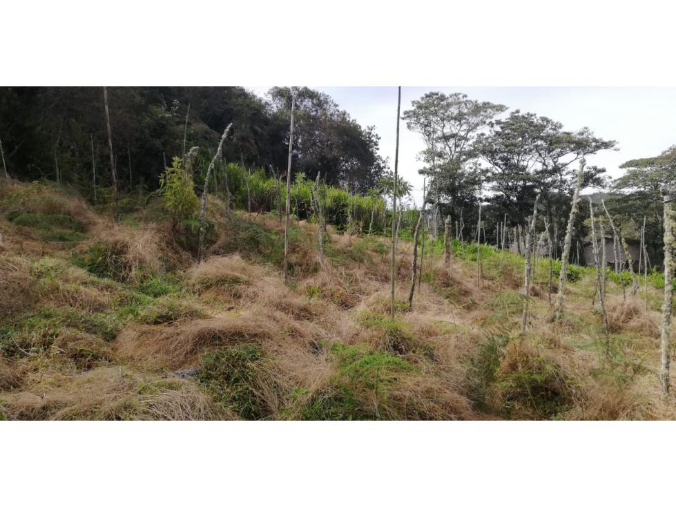 Venta de Lote Vereda Las Cruces San Vicente — foto 3