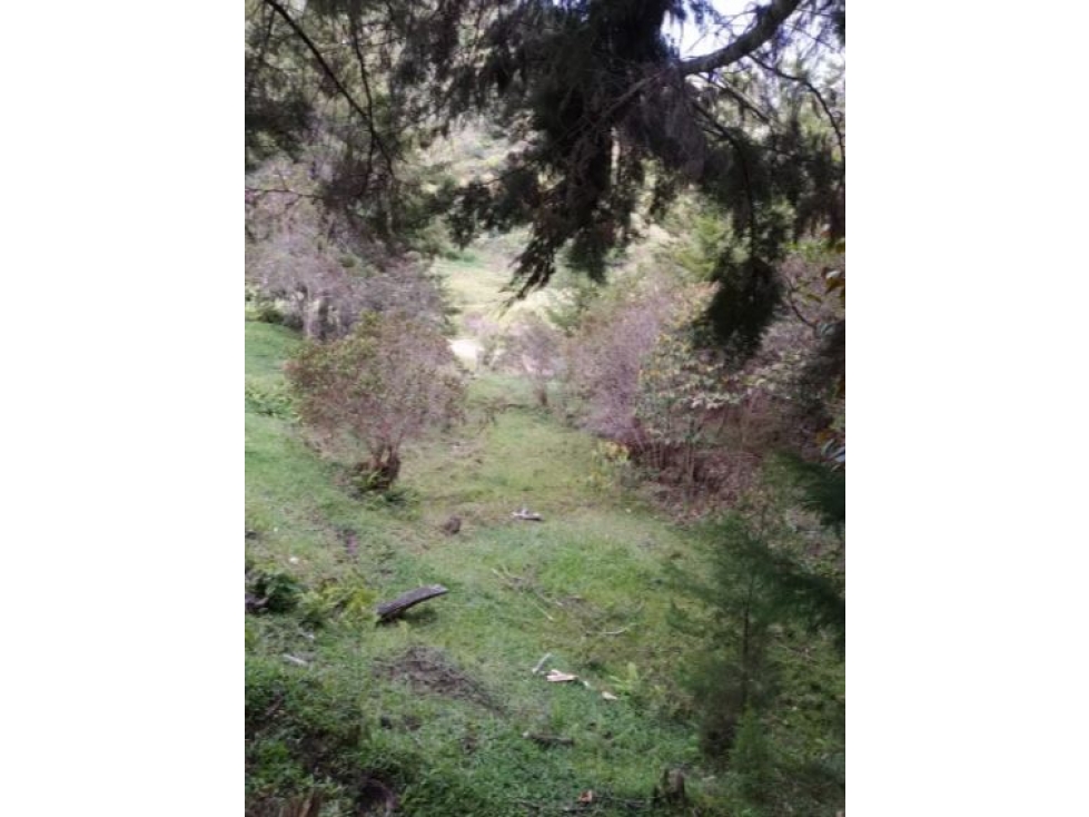 Venta de Finca Vereda La Magdalena San Vicente — foto 3