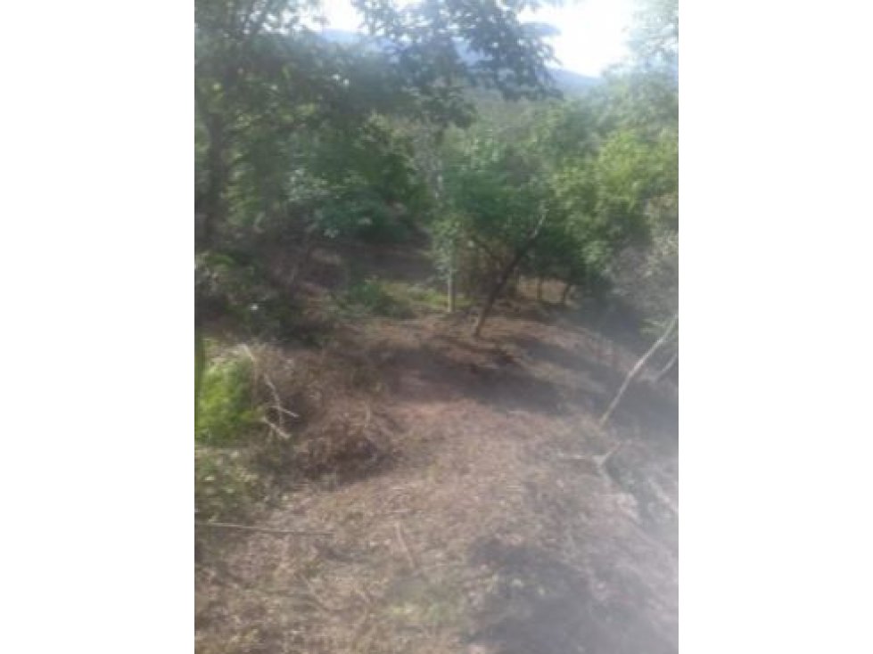 Venta de Lote Vereda Tonusco Santa Fe de Antioquia - 2