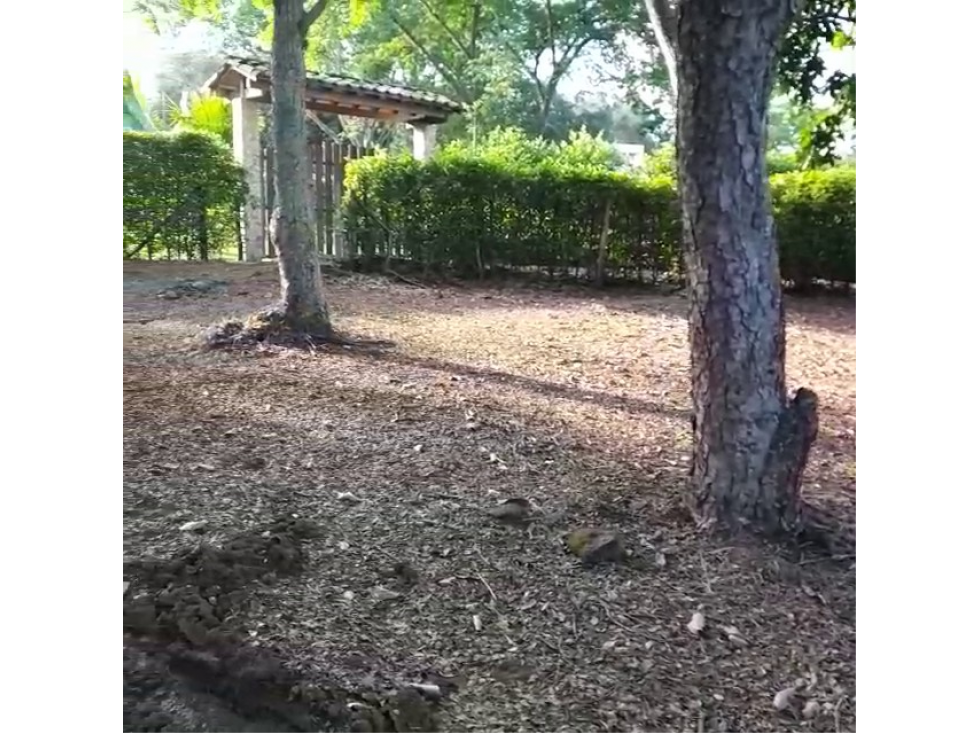 Venta de Lote Urbano Sector Llano de Bolívar, Santa Fe de Antioquia - 3