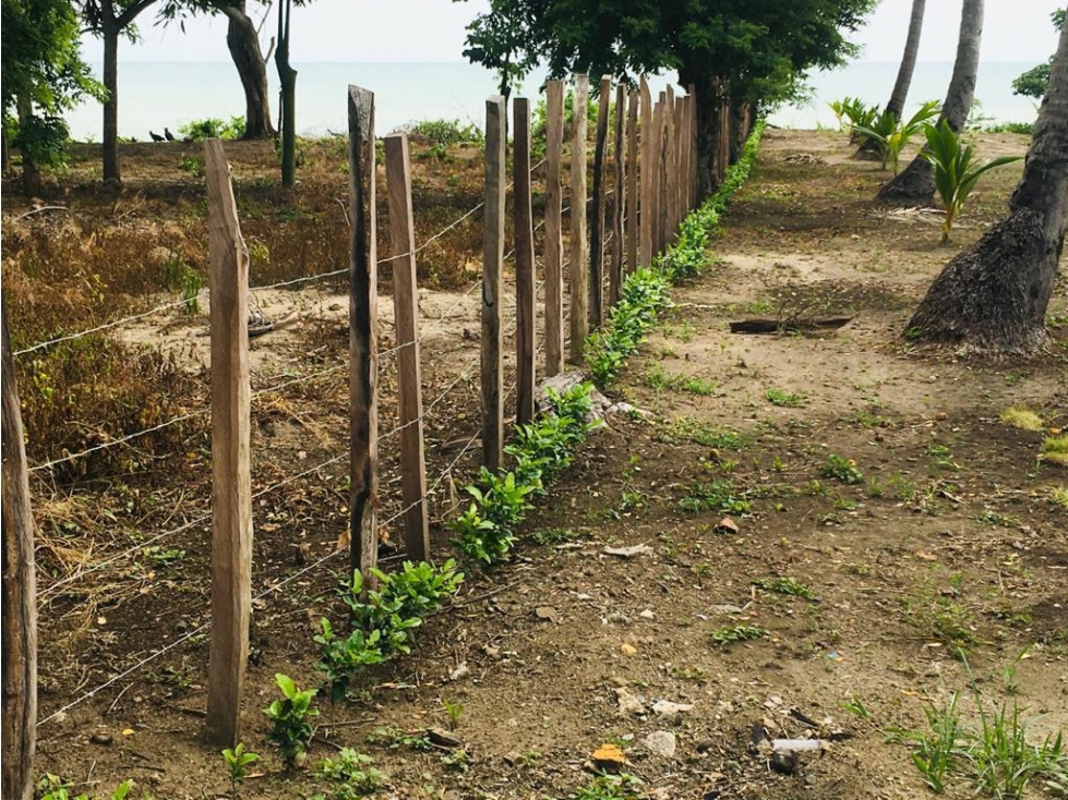 Venta de Lote Sector Vía al Hoyito Puerto Escondido - 4