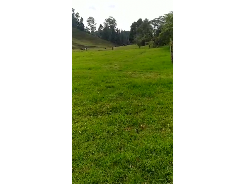 Vencambio Lote Vereda La Mosquita y Aeropuerto José María Córdoba — foto 2