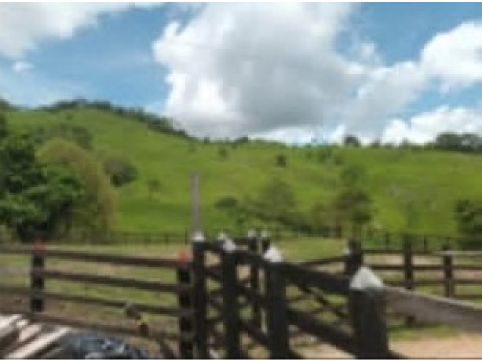 Venta de Finca Vereda El Marfil Puerto Boyacá - 3
