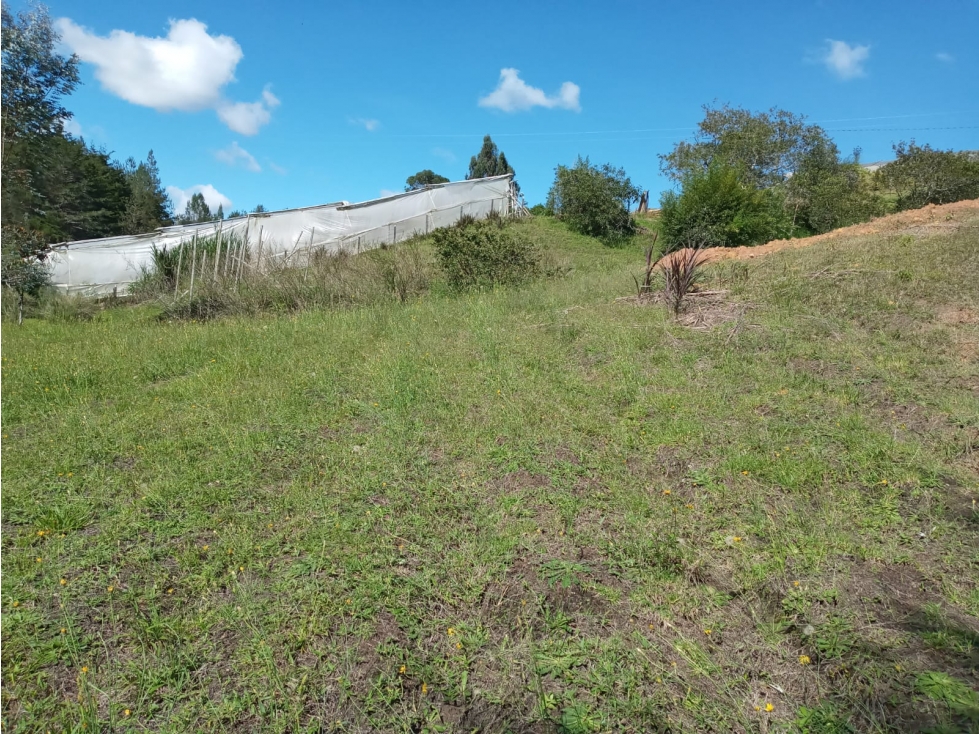 Venta de Lote Sector Vereda La Enea Guarne — foto 3