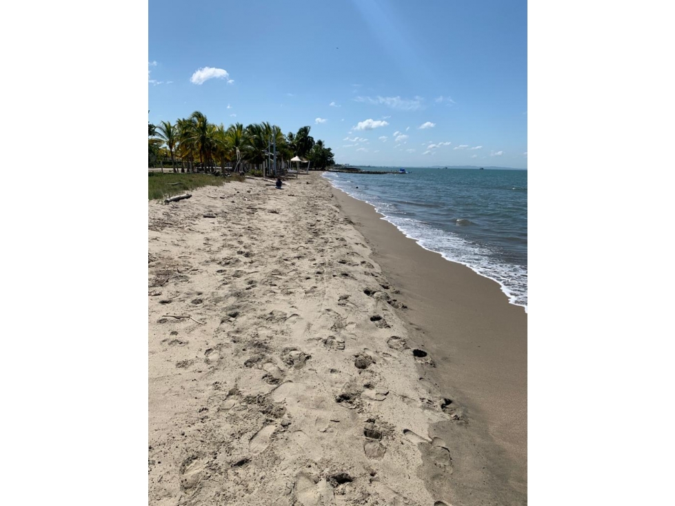 Venta de Lote AFrente de la Playa Vía Cienaga El Francés - 3