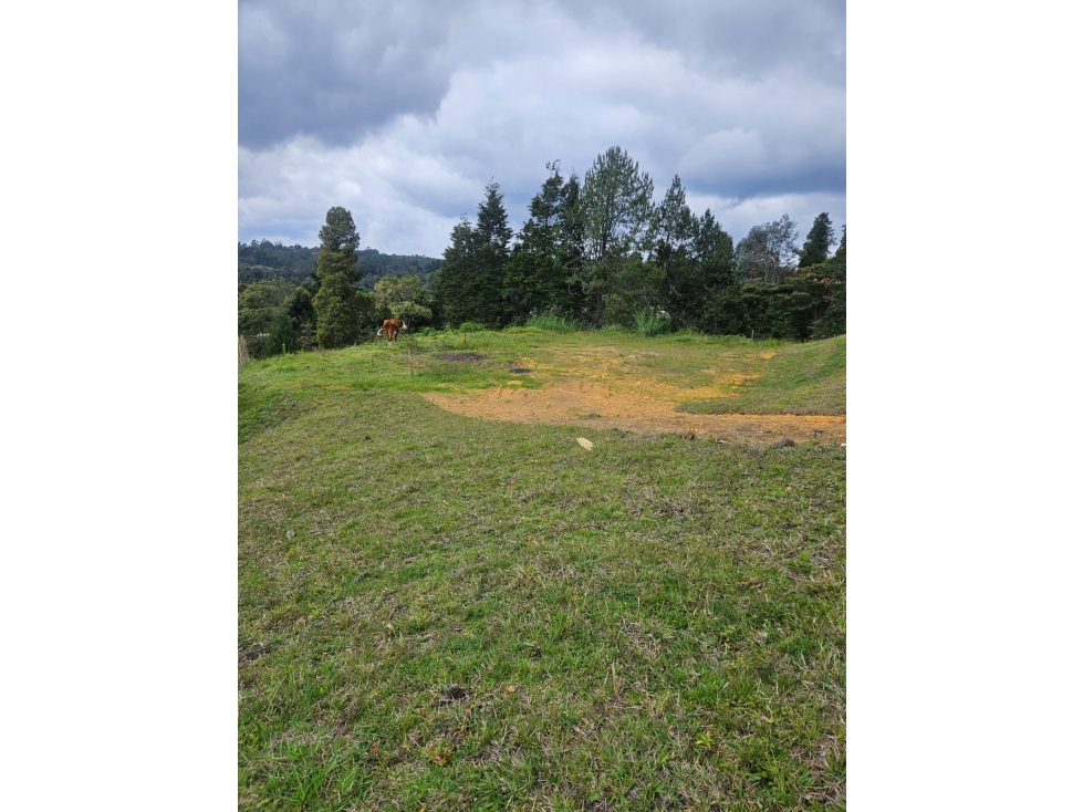 Venta de Lote Sector Vereda San Isidro Guarne — foto 3