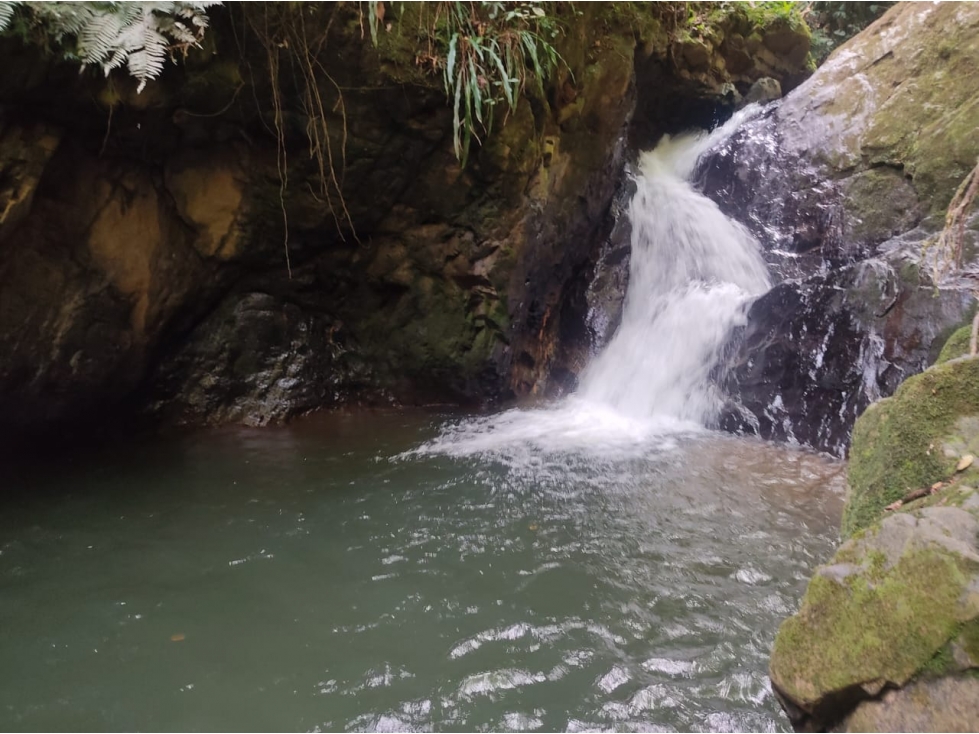 Finca 14 Hectáreas en San Vicente Ferrer | Cascadas y Aguacates — foto 3