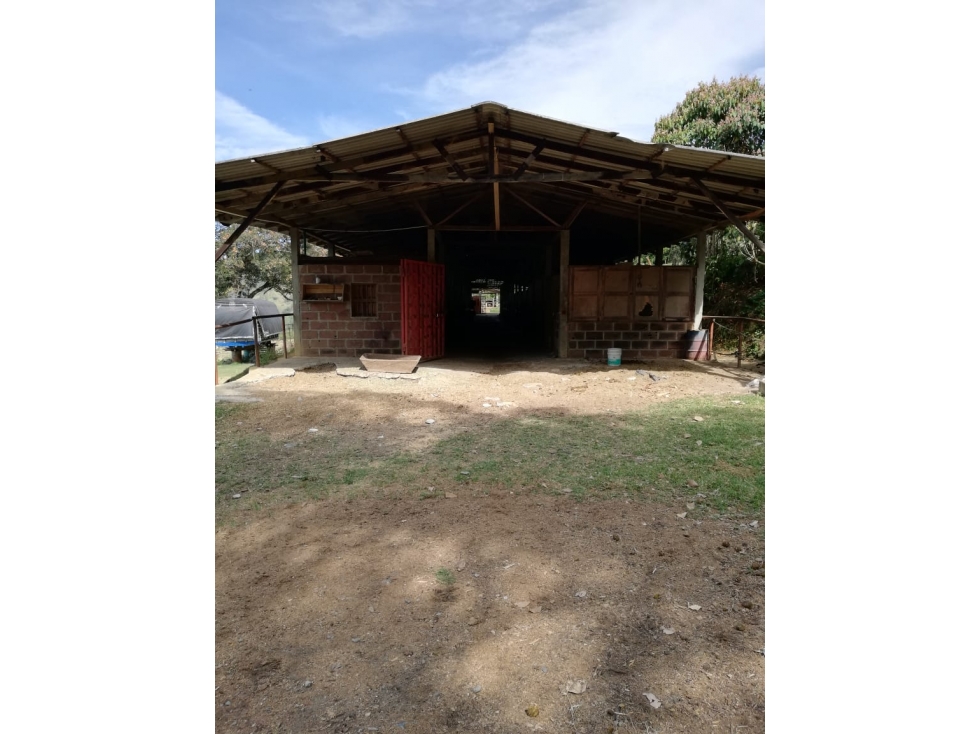 Finca 48.000m² Girardota, 28 Caballerizas, Avalúo $7.000M y Permuta — foto 3