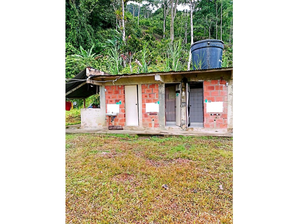 Venta 50% Proyecto Minero Esmeraldas en Pauna Boyacá - 3