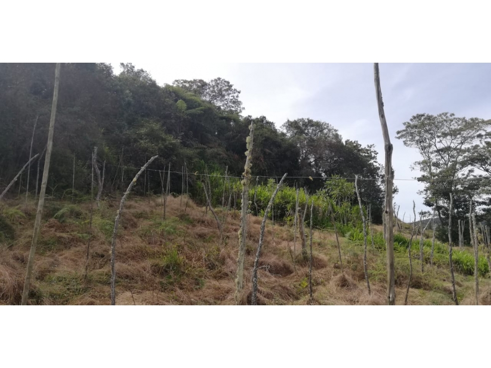 Venta de Lote Vereda Las Cruces San Vicente — foto 4