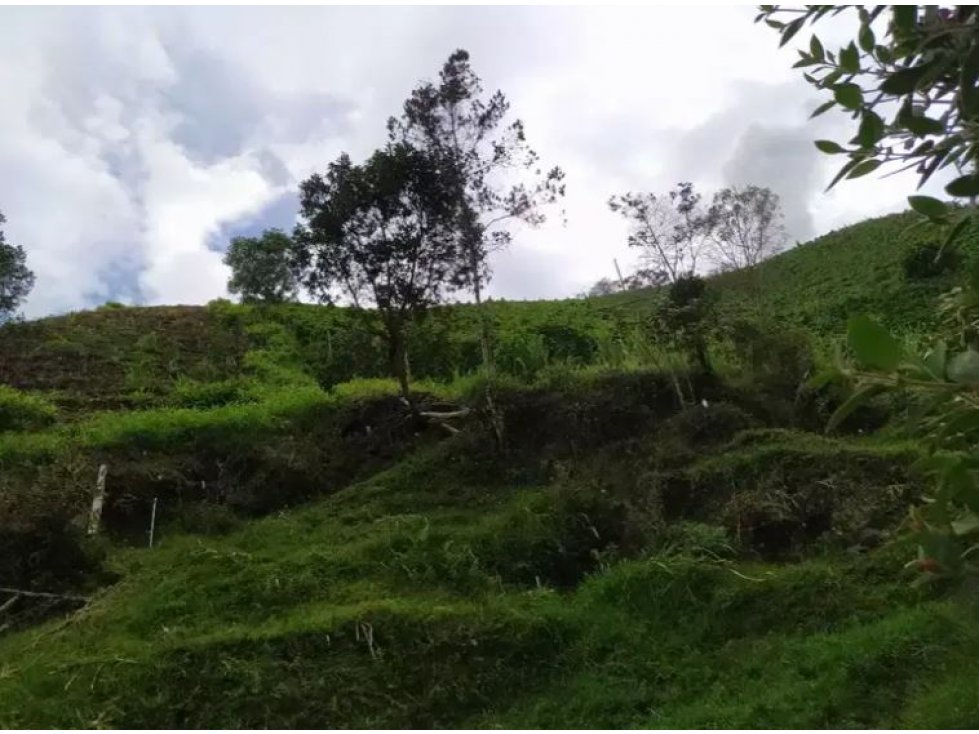 Venta de Finca Vereda La Magdalena San Vicente — foto 4