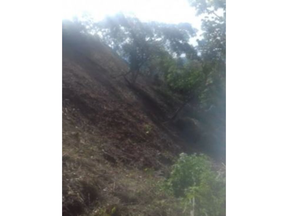 Venta de Lote Vereda Tonusco Santa Fe de Antioquia - 3