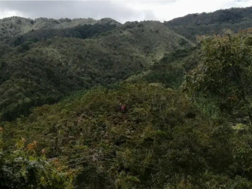 Venta de Finca Vereda Yarumal Abejorral - 4