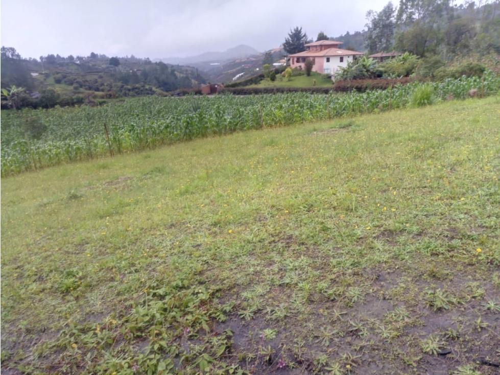 Venta de Lote Sector Vereda La Enea San Vicente — foto 4