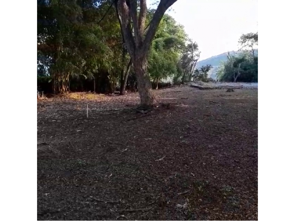 Venta de Lote Urbano Sector Llano de Bolívar, Santa Fe de Antioquia - 4