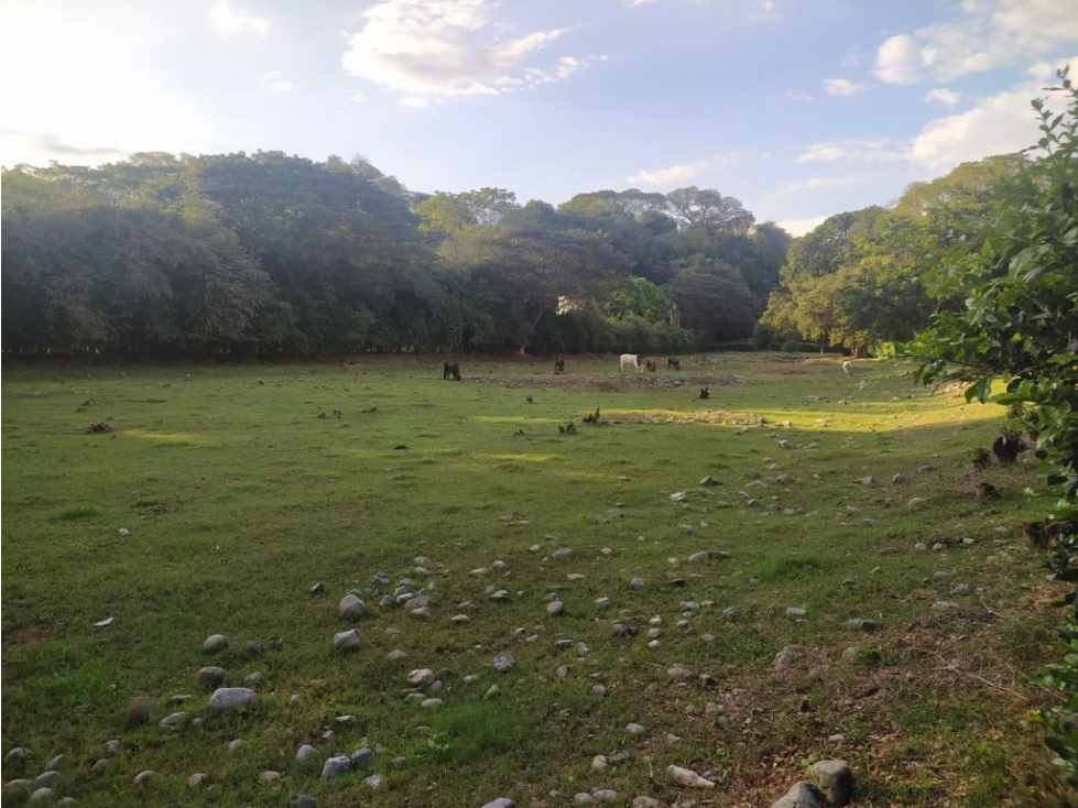 Vencambio Lote Sector Vereda El Bajío Santa Fe de Antioquia — foto 4