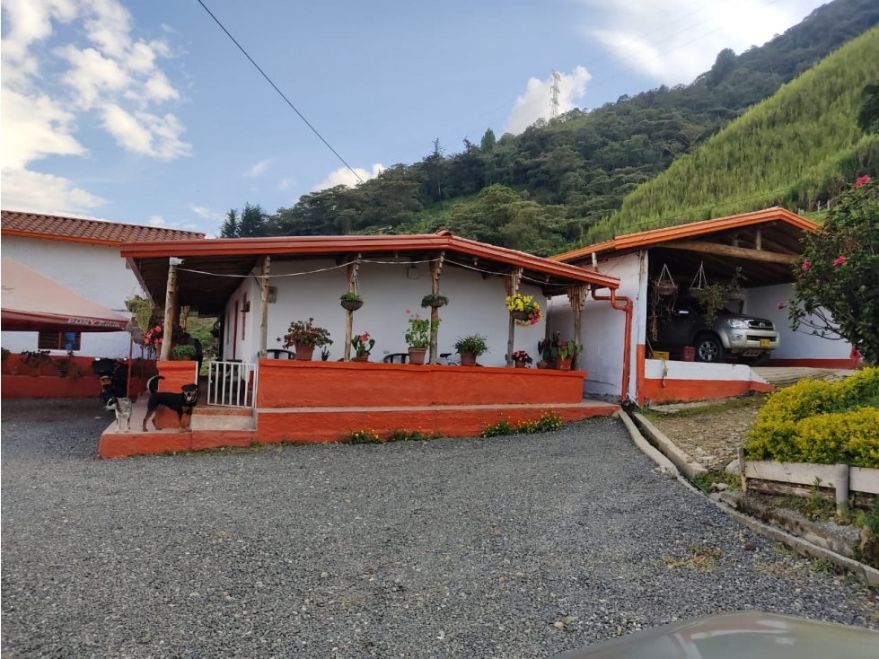 Vencambio Finca Vereda Potrerito San Antonio de Prado — foto 4