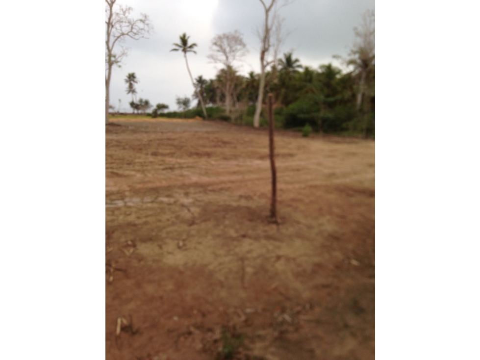 Venta de Lote AFrente de la Playa Vía Cienaga El Francés - 4
