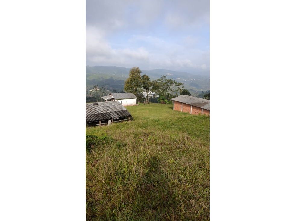 Vencambio Finca Sector Las Minas La Salada Parte Alta Caldas — foto 4