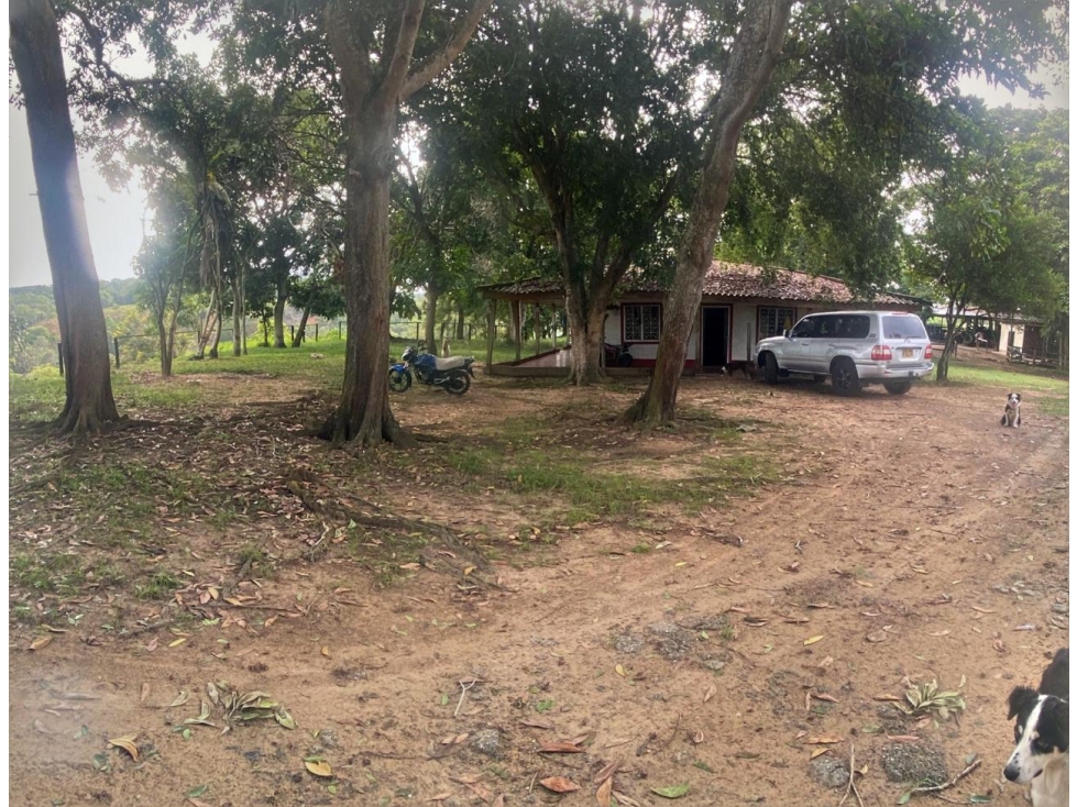 Finca 97Ha en Puerto Parra | Frente a Panamericana e Infraestructura - 4