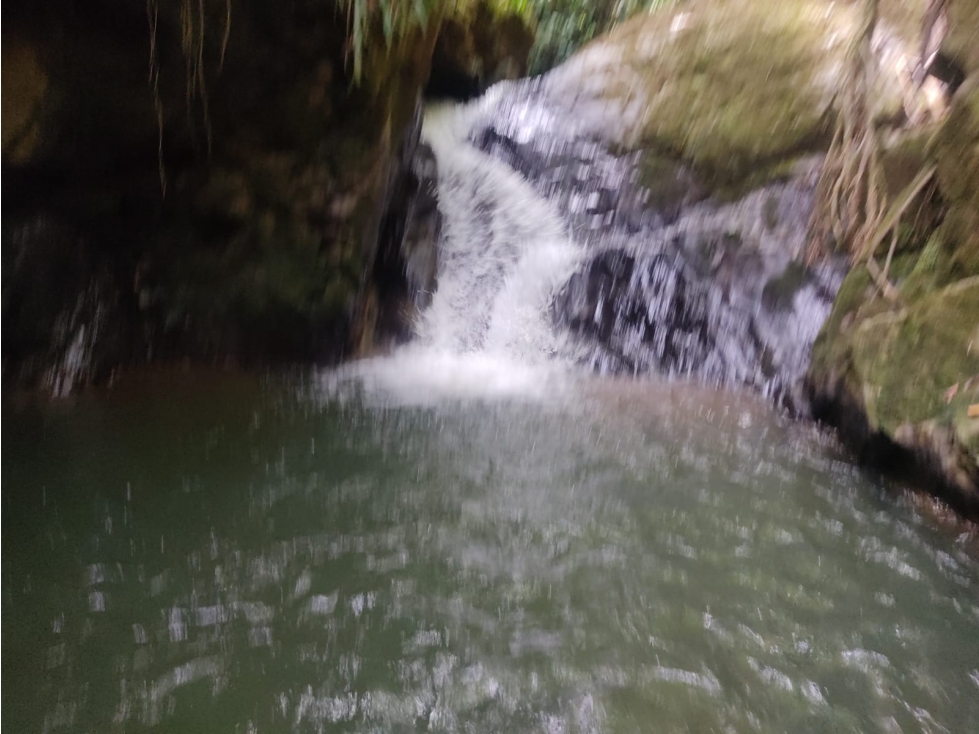 Finca 14 Hectáreas en San Vicente Ferrer | Cascadas y Aguacates — foto 4