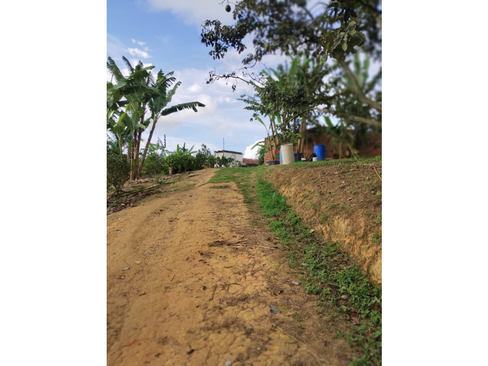 Finca 7.8Ha en Bucaramanga Vereda Puyana | Lagos, Cítricos y Renta - 4