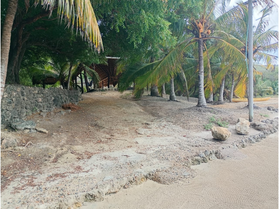 Playa Privada 2.5Ha en Barú | Frente al Mar e Ideal Eco-Resort — foto 4