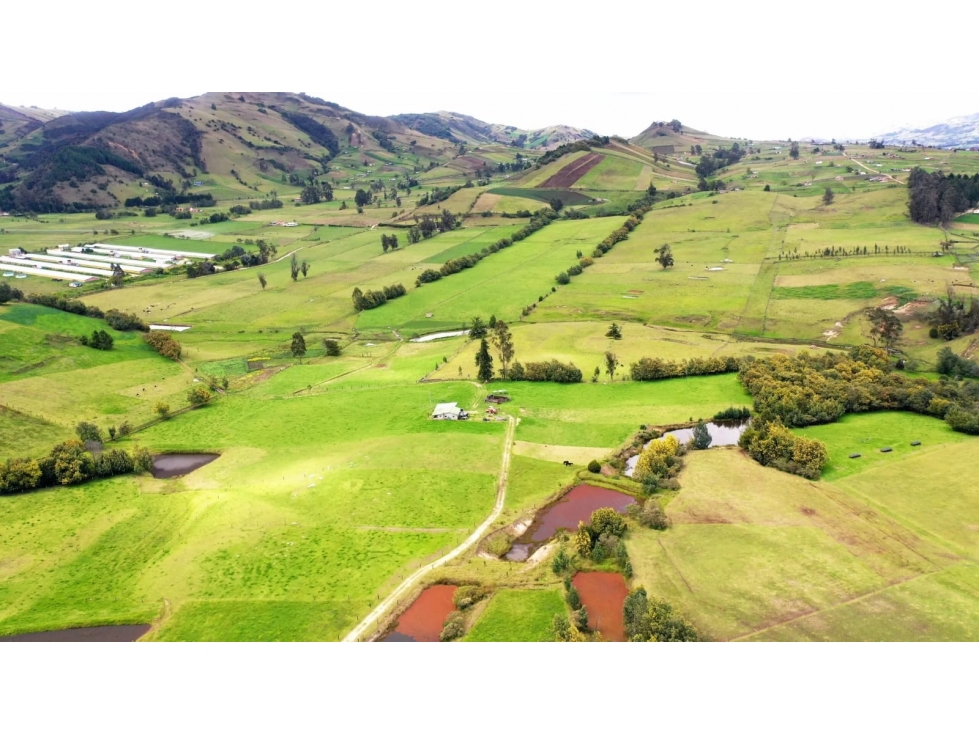 Finca 55 Fanegadas en Chocontá | Con 200 Reses y Puerta Cerrada - 4