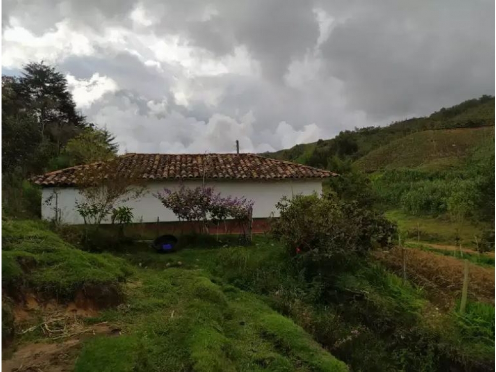 Venta de Finca Vereda La Magdalena San Vicente — foto 5