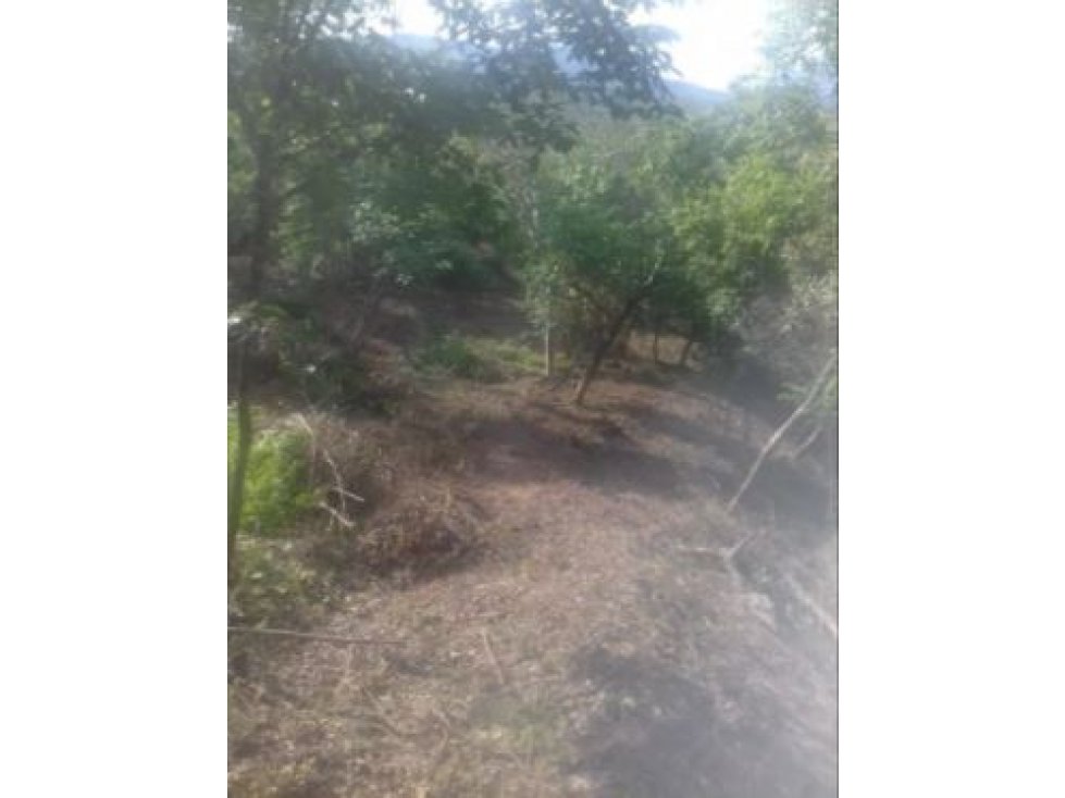 Venta de Lote Vereda Tonusco Santa Fe de Antioquia - 4