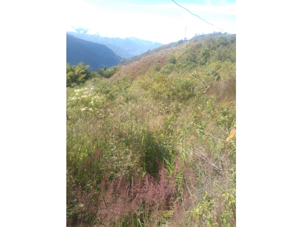 Finca + Cantera en Abejorral: 30.000m² con Alto Potencial de Inversión - 4