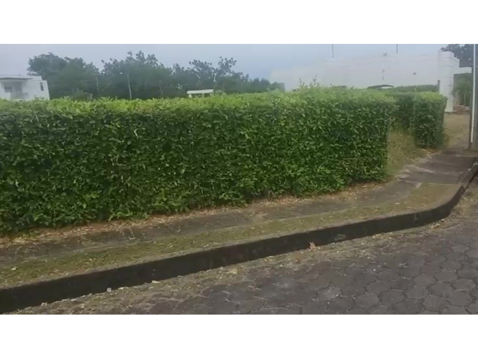 Venta de Lote En Condominio Sector Flandes Tolima - 4