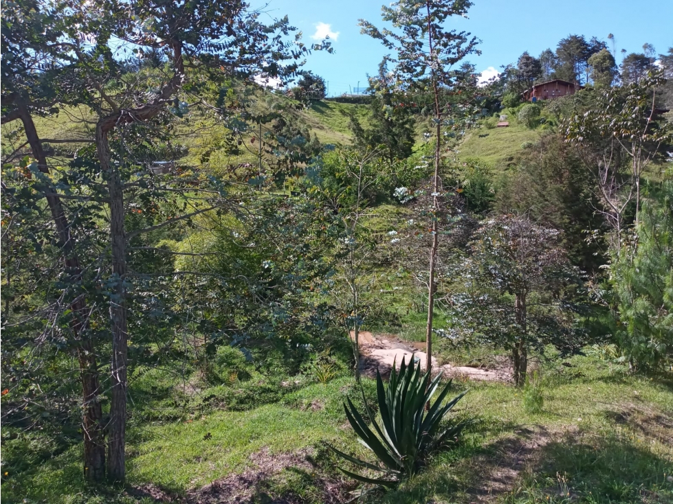 Venta de Lote Sector Vereda La Enea Guarne — foto 5