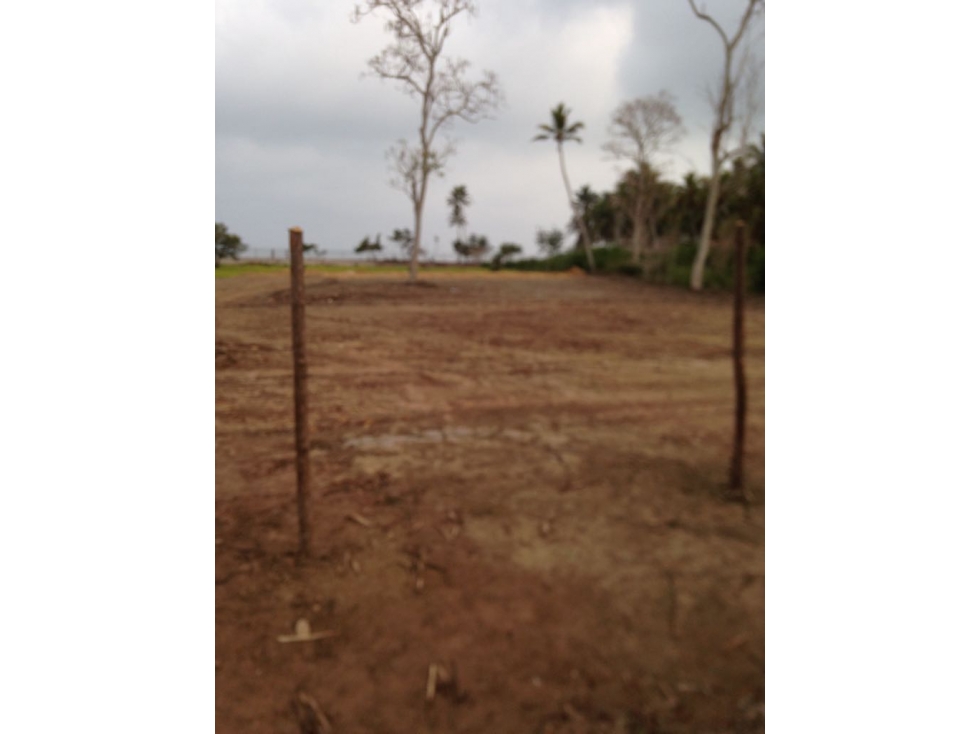 Venta de Lote AFrente de la Playa Vía Cienaga El Francés - 5