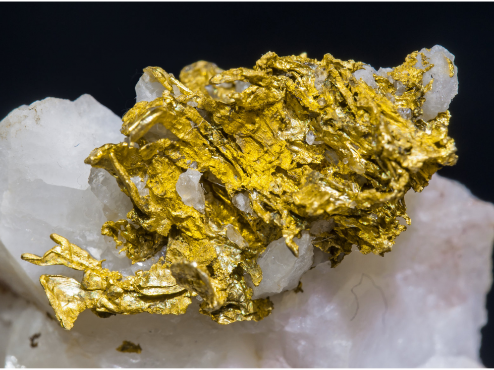 Mina de Oro 14.131Ha Tolima | Planta 250Ton/Día - 2