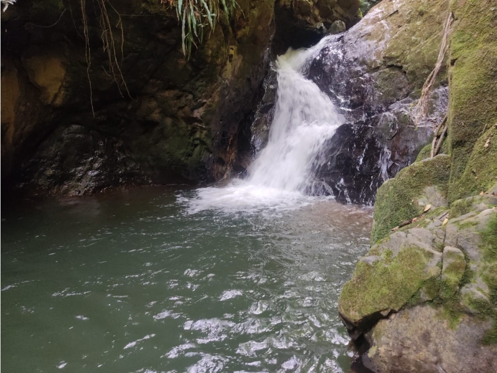 Finca 14 Hectáreas en San Vicente Ferrer | Cascadas y Aguacates — foto 5