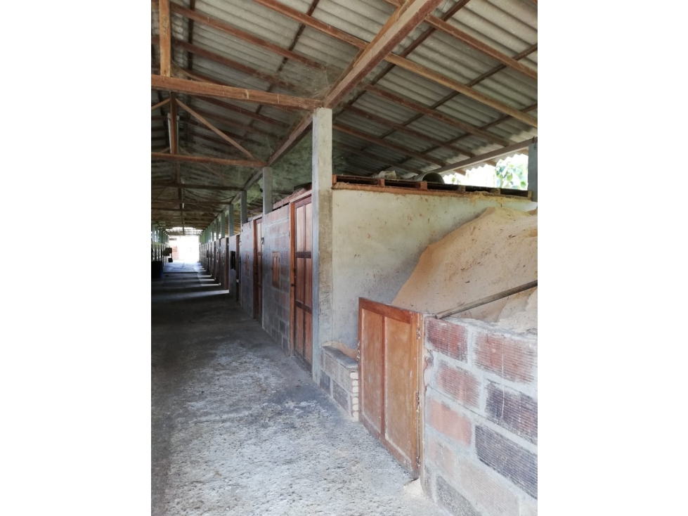 Finca 48.000m² Girardota, 28 Caballerizas, Avalúo $7.000M y Permuta — foto 5