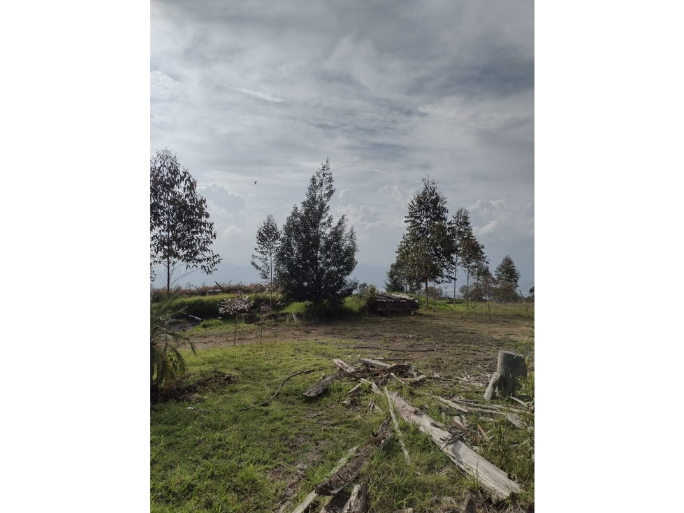 Lote 10.000m² La Ceja | Subdivisible en 4 Lotes, Sector Lomitas - 5
