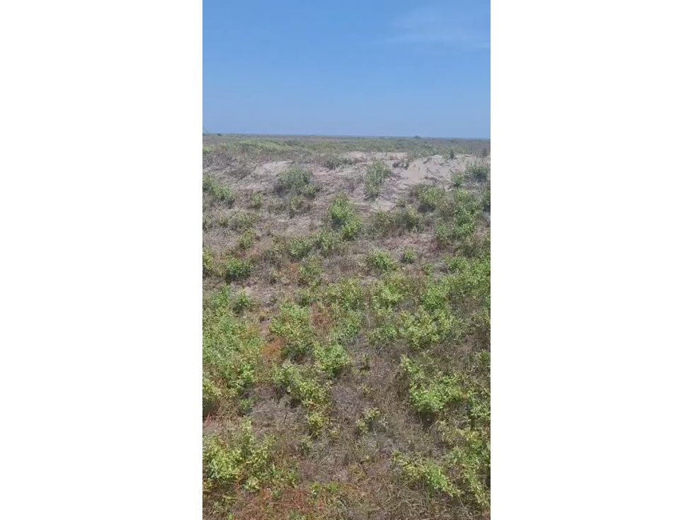 Lote 5.0Ha en Arroyo Grande Vía al Mar | $8.000M, Ideal Macroproyectos - 1