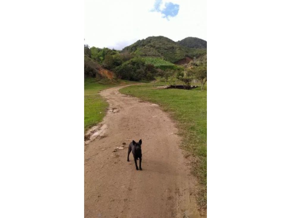 Venta de Finca Vereda La Magdalena San Vicente — foto 6