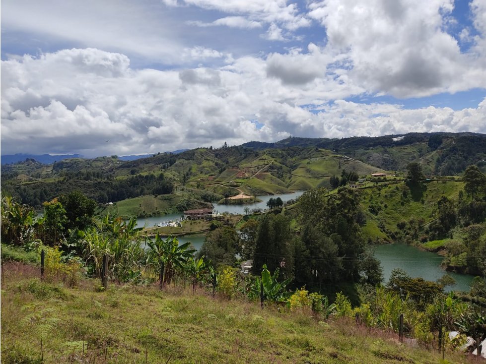 Venta de Lote Sector Vereda La Magdalena El Peñol - 6