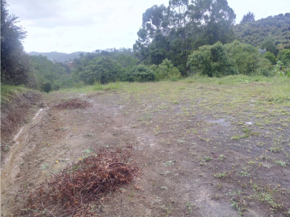 Venta de Lote Sector Vereda La Enea San Vicente — foto 6