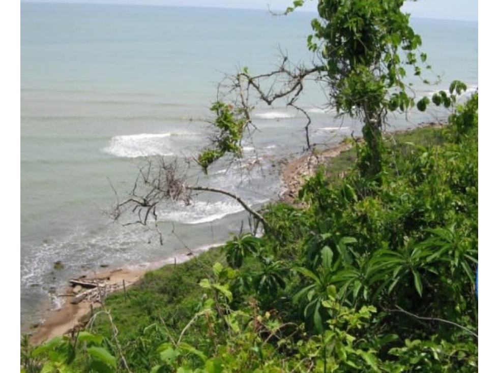 Venta de Lote de Playa Sector Agua Marina Juan de Acosta - 5
