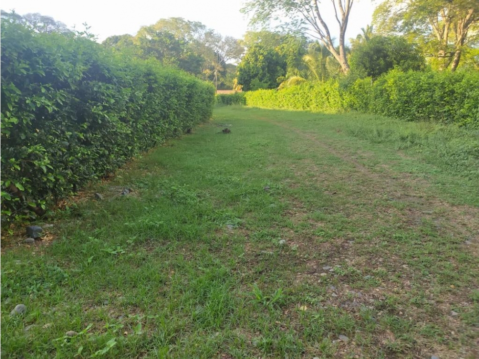 Vencambio Lote Sector Vereda El Bajío Santa Fe de Antioquia — foto 6