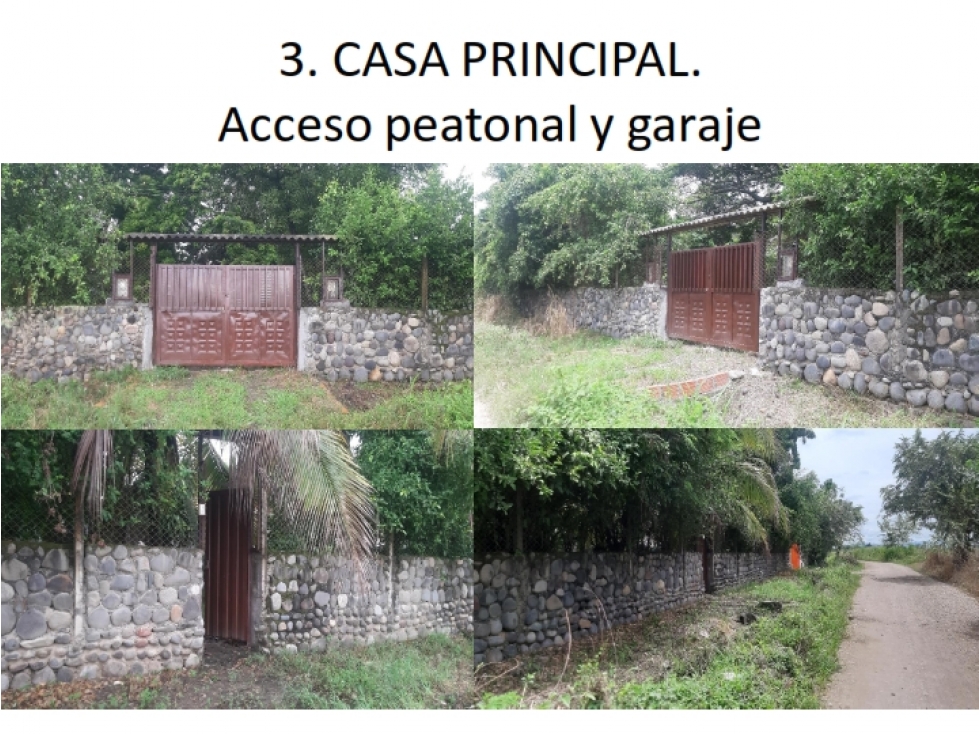 Vencambio Granja Porcicola-Piscícola Vereda Patio Bonito Tolima - 6
