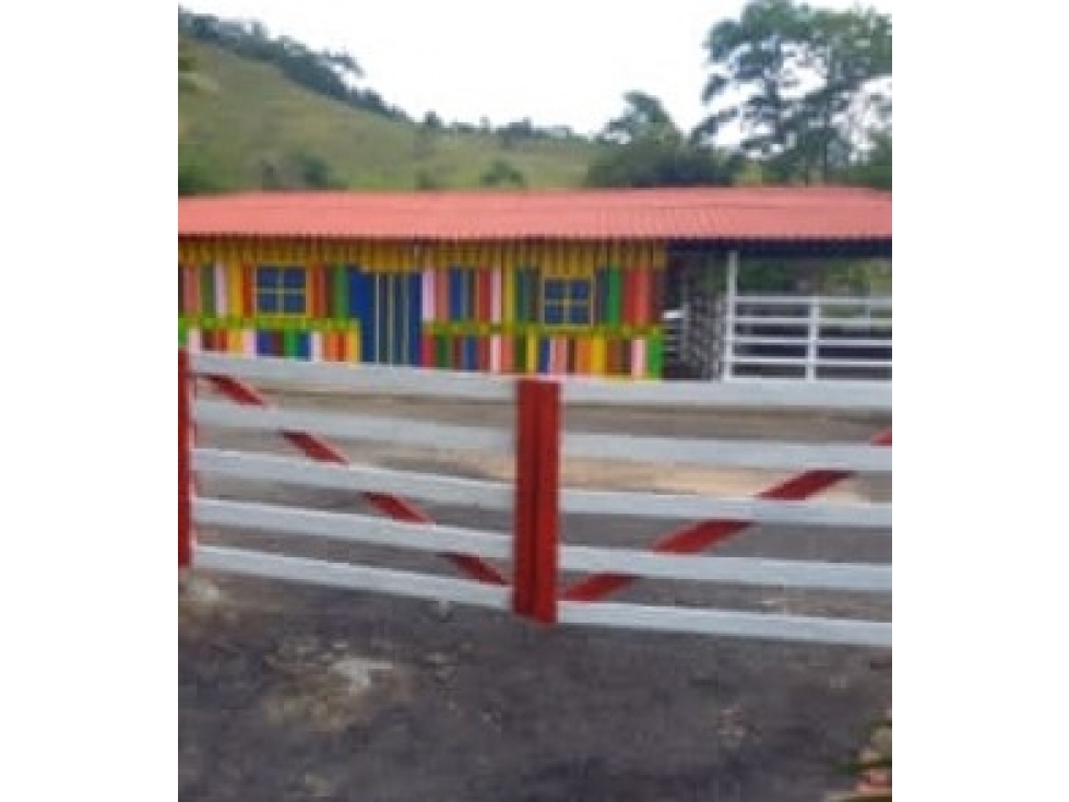 Venta de Finca Vereda El Marfil Puerto Boyacá - 6