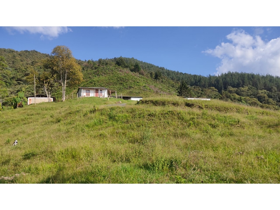 Vencambio Finca Sector Las Minas La Salada Parte Alta Caldas — foto 6