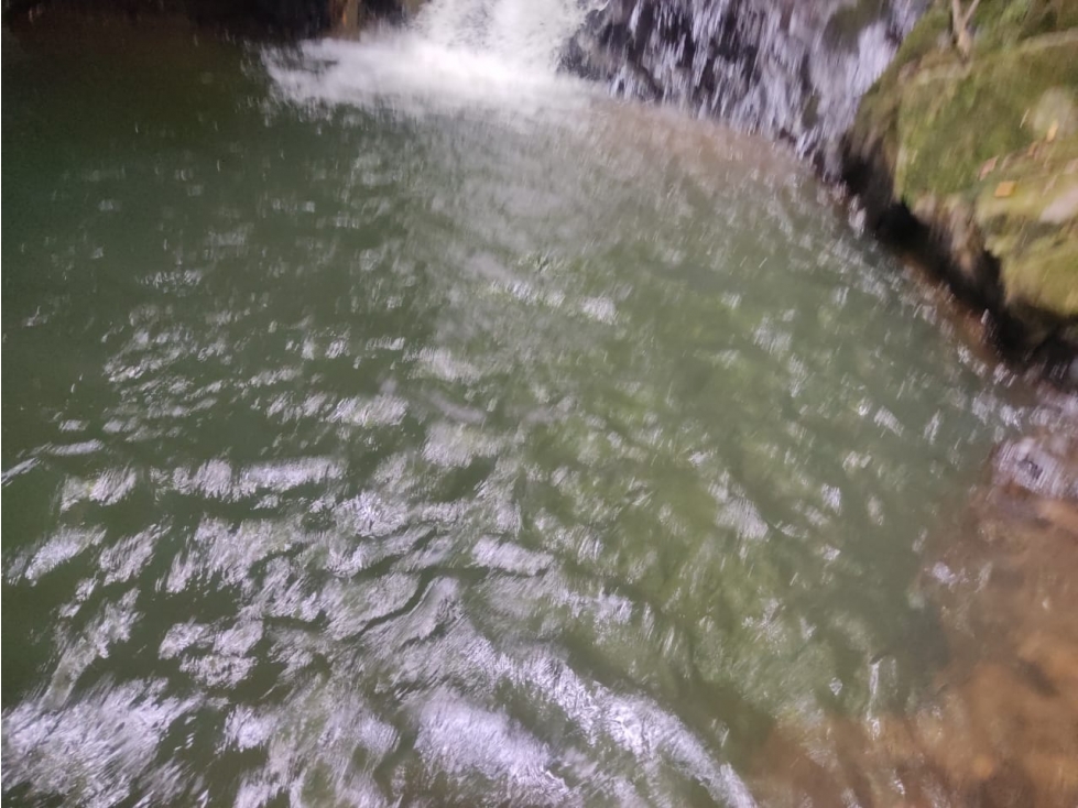 Finca 14 Hectáreas en San Vicente Ferrer | Cascadas y Aguacates — foto 6