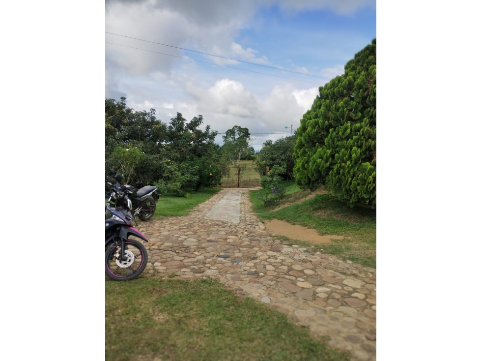Finca 7.8Ha en Bucaramanga Vereda Puyana | Lagos, Cítricos y Renta - 6